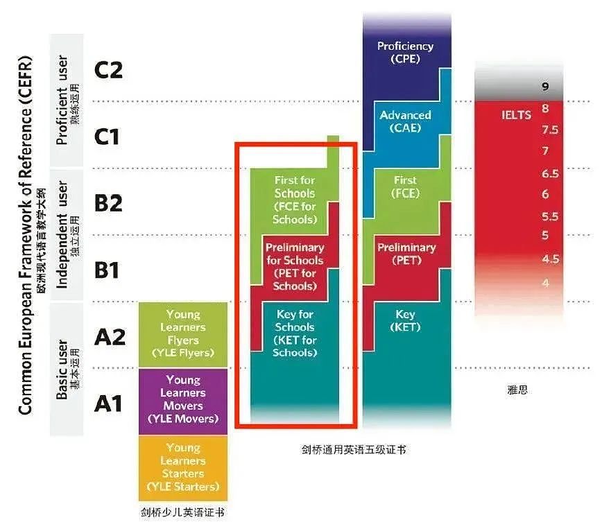 藏进地下室补习，中国中产爸妈创造鸡娃巅峰（图） - 13