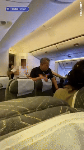 无语！两名乘客在飞机上为抢座位互殴！台北飞美国航班上这一幕，吓懵所有人（视频/组图） - 4