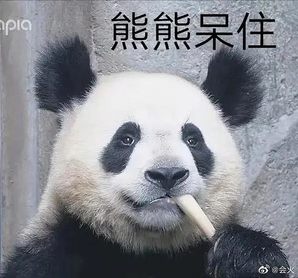 动物园熊猫居然是狗染色假扮的！这熊猫怎么狗里狗气的...（视频/组图） - 1