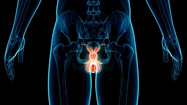 切根保命！专家曝4种人易得阴茎癌，巴西平均每年600人“断根”（组图） - 3