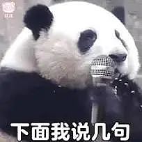 动物园熊猫居然是狗染色假扮的！这熊猫怎么狗里狗气的...（视频/组图） - 8