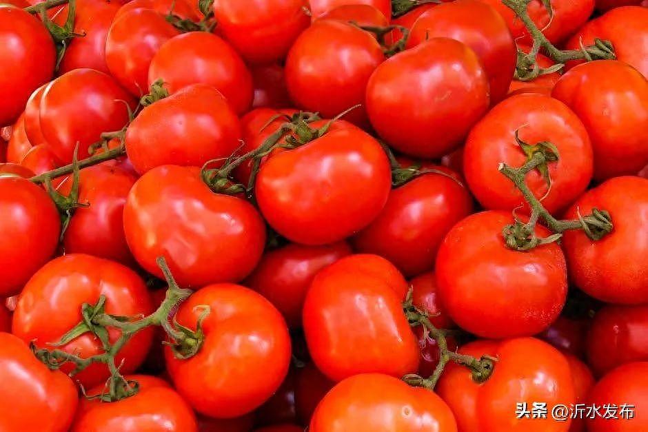 研究发现：每天吃1个西红柿，能降压防癌！但这两种最好不要吃（组图） - 1