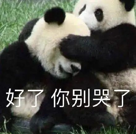 动物园熊猫居然是狗染色假扮的！这熊猫怎么狗里狗气的...（视频/组图） - 12