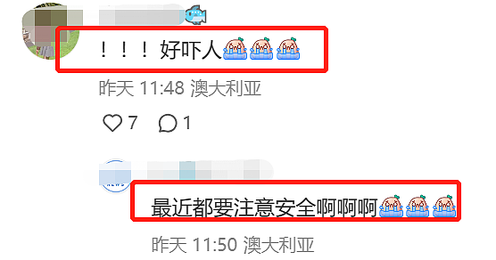 可怕！河中漂浮尸体，周围全是商店餐厅，华人网友：吓尿了！澳警方判断为自杀，类似事件频发（组图） - 5