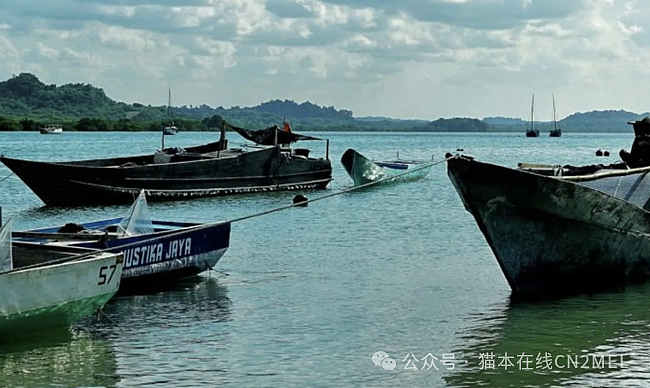 6名中国人偷渡澳洲被捕！疑借道印尼，接近澳洲海域被发现（组图） - 2