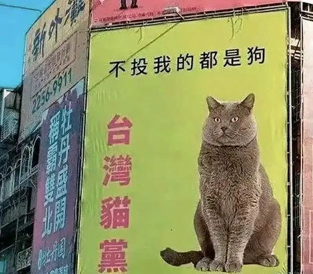 看过台湾街头广告，才懂搞笑片的终点（组图） - 31