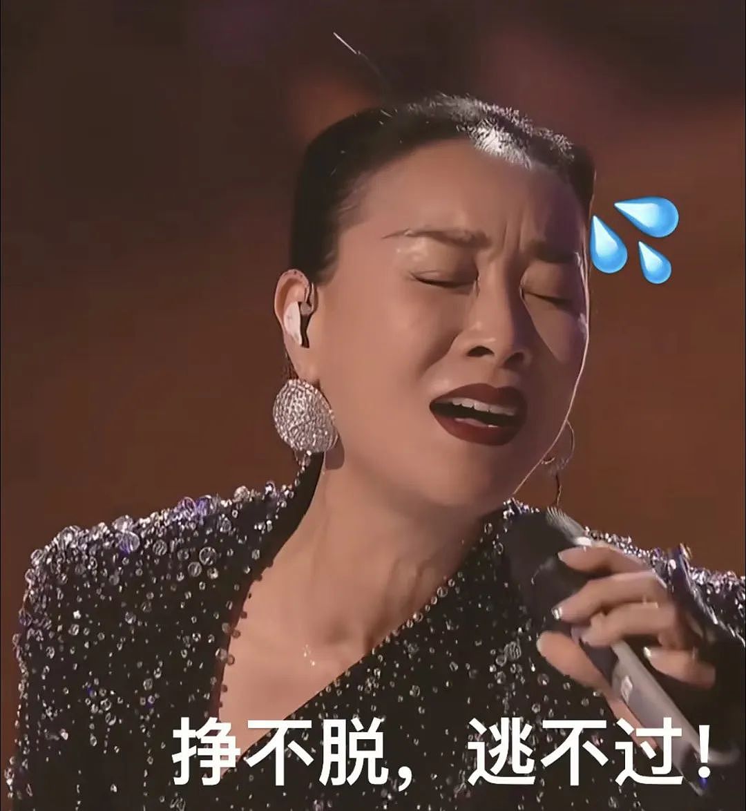 《歌手》被外国大神血虐，华语乐坛真没人能救救那英了吗！（组图） - 19