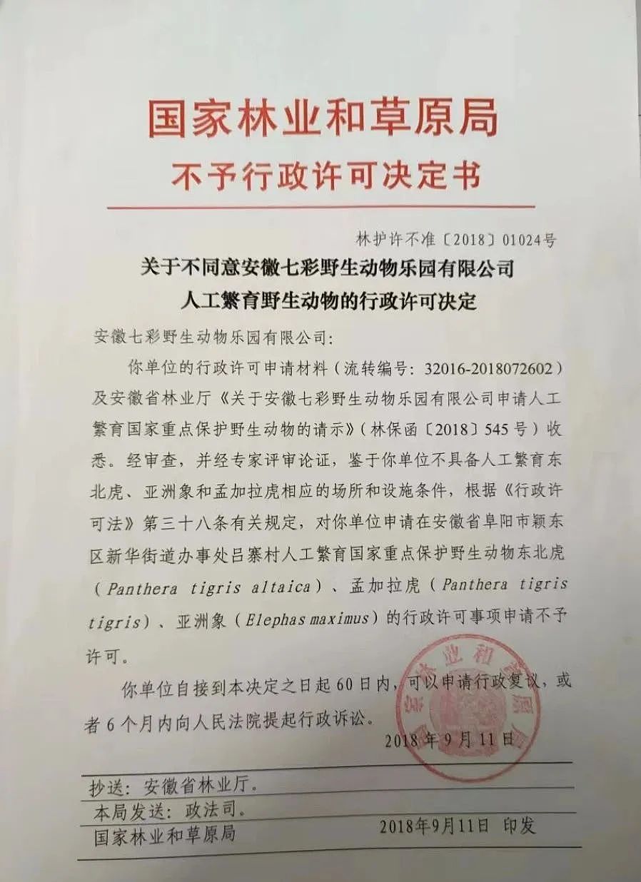 冲上热搜！安徽一动物园20只东北虎惨死，幕后真相曝光（组图） - 3