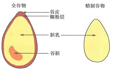 在中医眼里，五谷是最养人的食物（组图） - 4