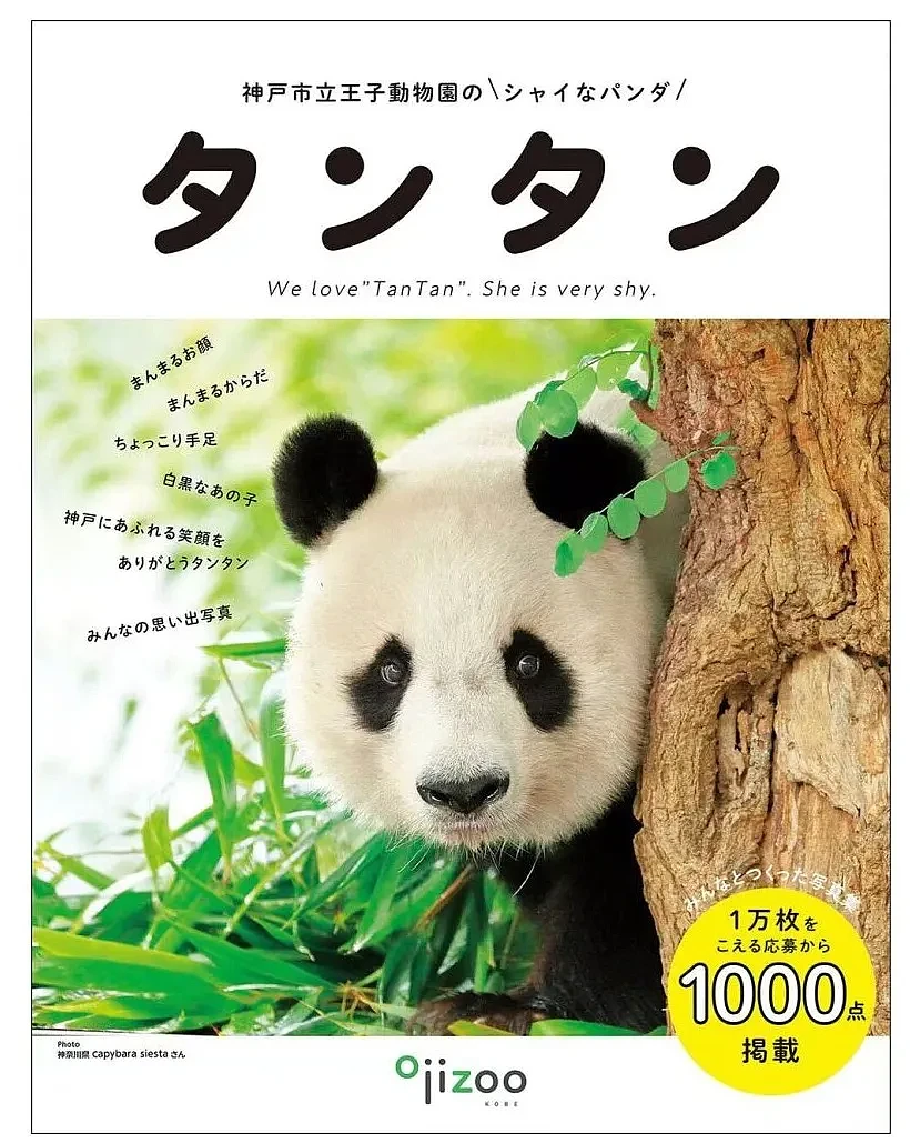 太可怕了！日本幼儿园小朋友竟然这样对待死去的大熊猫（组图） - 7