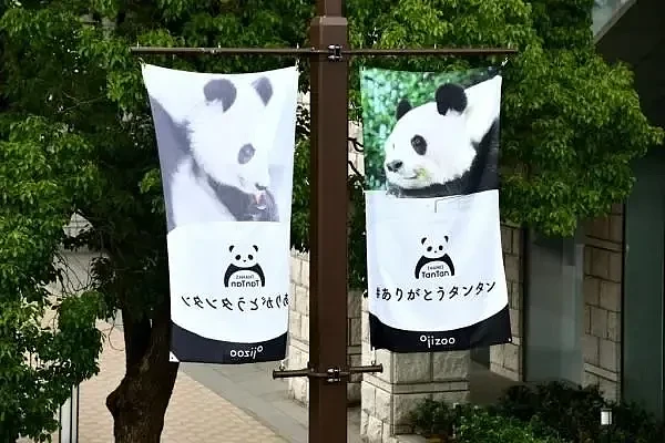 太可怕了！日本幼儿园小朋友竟然这样对待死去的大熊猫（组图） - 8