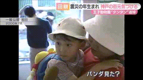 太可怕了！日本幼儿园小朋友竟然这样对待死去的大熊猫（组图） - 5