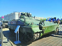 探访俄胜利公园缴获武器展，最惨的是这国的装甲车（组图）