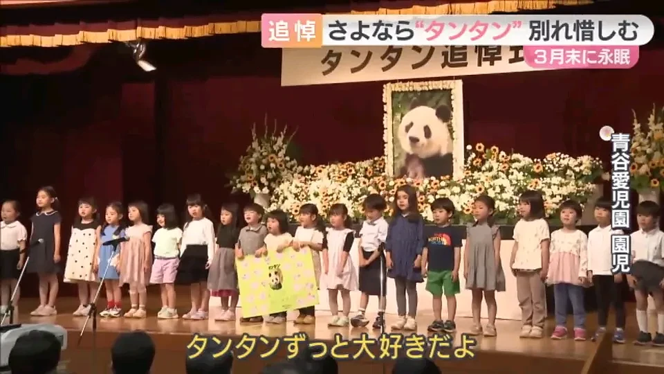 太可怕了！日本幼儿园小朋友竟然这样对待死去的大熊猫（组图） - 15