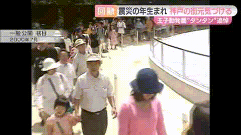 太可怕了！日本幼儿园小朋友竟然这样对待死去的大熊猫（组图） - 4