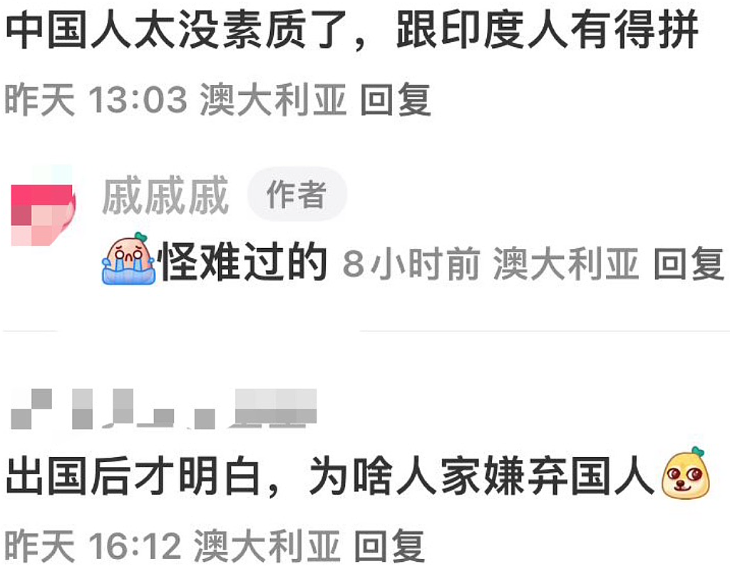 踩踏活化石、乱丢垃圾，澳华人追极光素质被批，在堪培拉看到此人千万不要靠近，立即报警！（组图） - 5