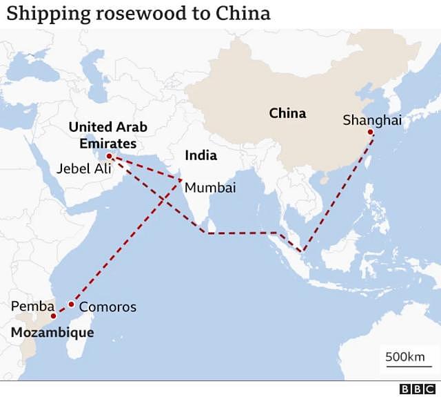 非洲红木：与中国的非法贸易助力莫桑比克的反叛活动（组图） - 3