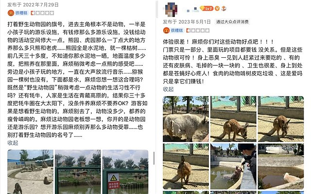 安徽动物园5年养死20只东北虎：就这环境，真的不是在犯罪吗？（组图） - 7