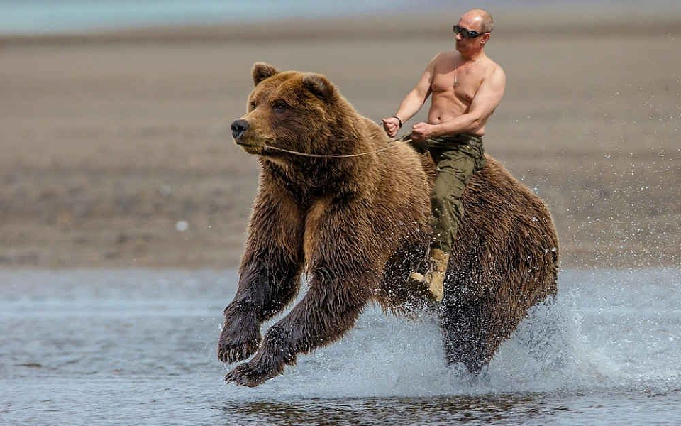 俄罗斯国防部长要换：新人选当过普京保镖，曾近距离击退一头狗熊（组图） - 2