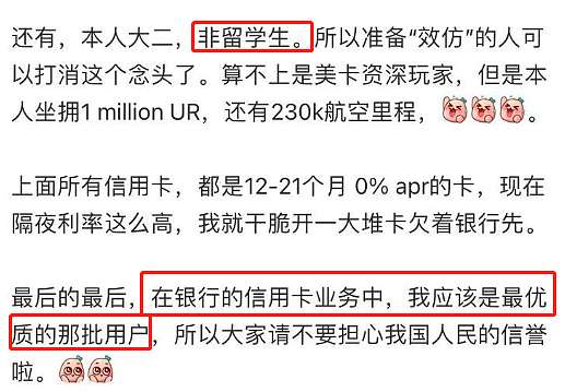 震惊！网传一中国学生在美国刷爆信用卡，欠100万跑了！在新加坡欠款未还回国会怎么样（组图） - 9