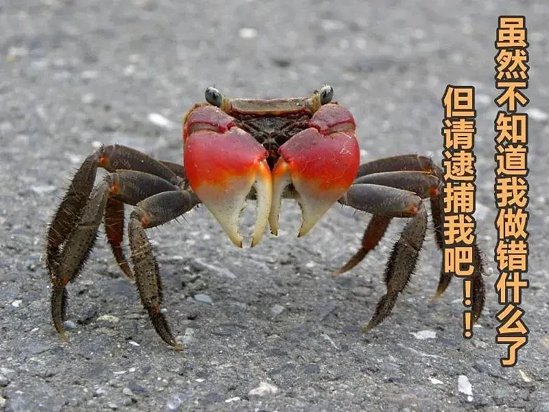 日本一爱情旅馆贴出告示“坚决禁止带螃蟹入内”！网友们的脑洞彻底收不住了…（组图） - 22
