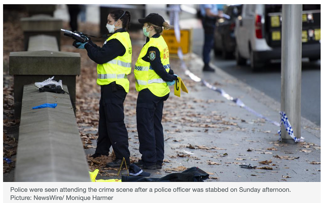 刀刀致命！悉尼海德公园突发持刀袭击案，一名警察身中多刀被紧急送医（组图） - 12