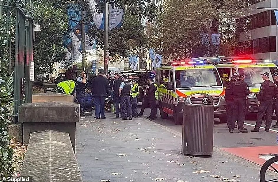 刀刀致命！悉尼海德公园突发持刀袭击案，一名警察身中多刀被紧急送医（组图） - 10