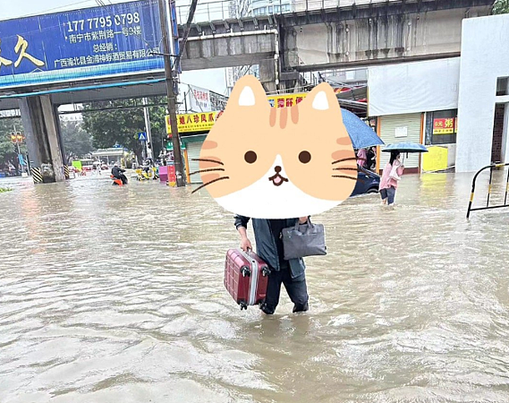 广西钦州小时雨量“破历史纪录”！多地淹水…半辆汽车泡水里（组图） - 3