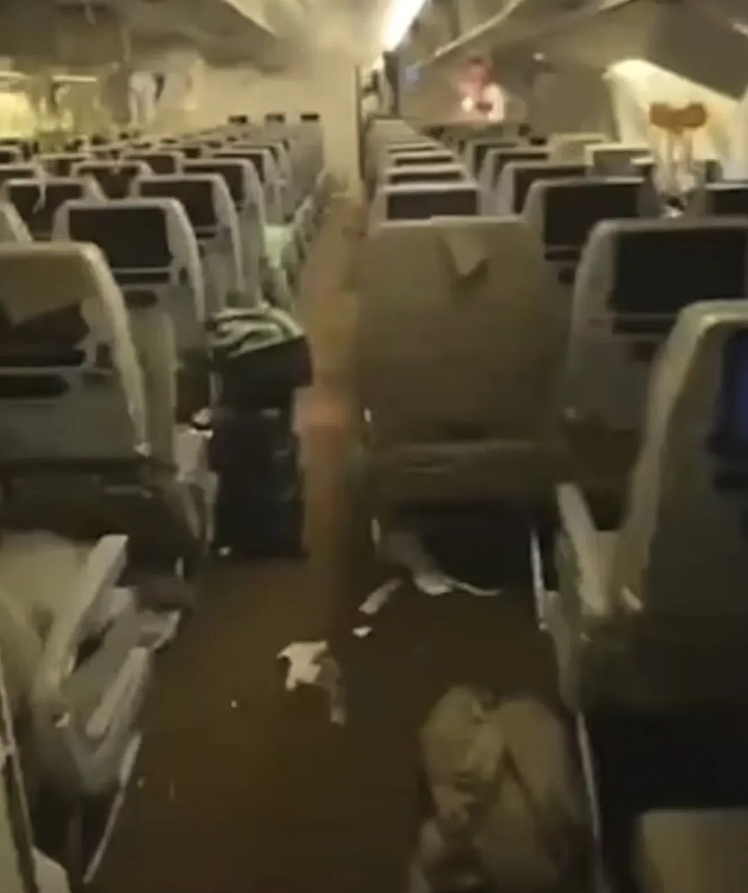 “机舱内都是血，头部撕裂，耳朵流血”！已证实1死，70多人伤，惊险致命航班，有23名新西兰人（组图） - 14