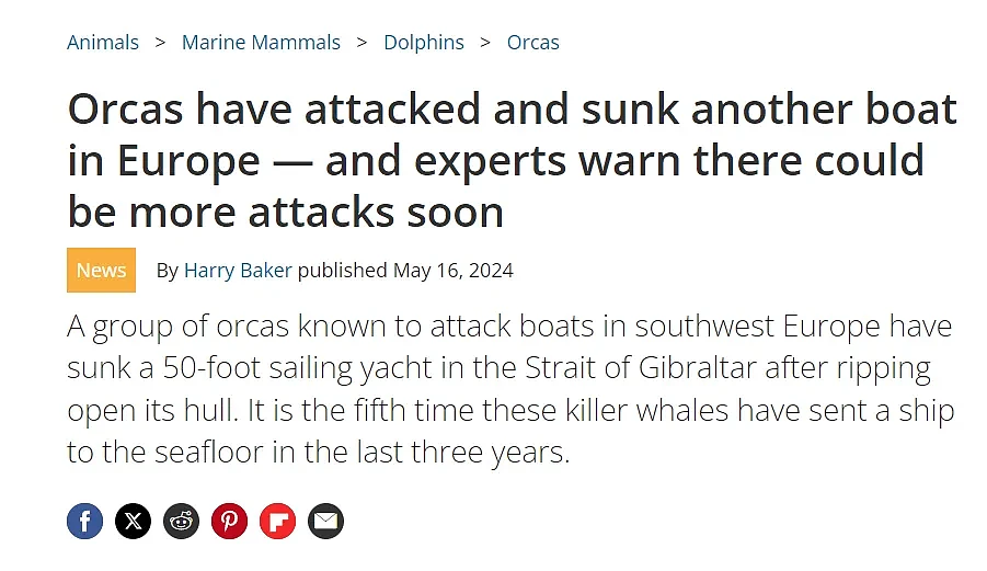 新西兰男子“找刺激”，海上戏耍杀人鲸！还拍视频发布，结果…（组图） - 16
