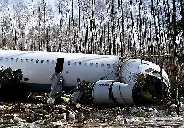 2010年，波兰总统专机坠毁于俄罗斯，88位国家高层一天内全部团灭（组图） - 10