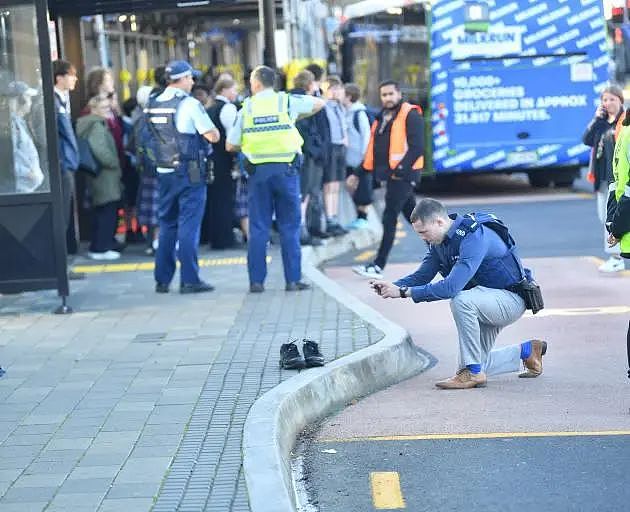 新西兰严阵以待，澳洲已有首例人感染禽流感；奥克兰华人白天商场被抢，16岁男孩公交站被刺身亡，13岁男孩被控谋杀（组图） - 15