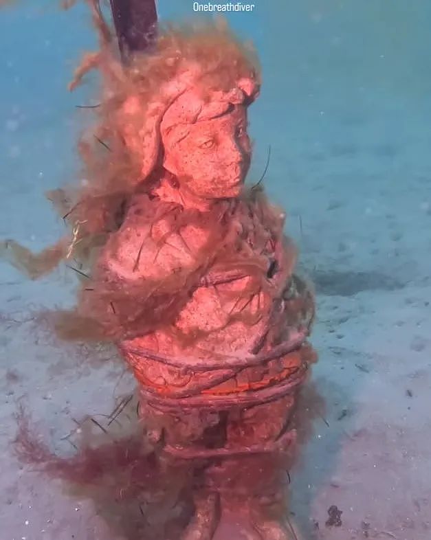 海底奇遇！澳女子潜水时被章鱼搭讪，一路跟随，竟发现神秘的海底墓碑...（组图） - 8