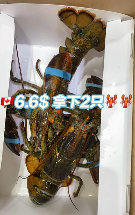 爽翻！华人曝超市“漏洞“：仅花$6.6买下两只龙虾，这种情况免费送......（组图） - 1