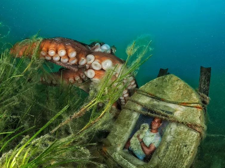 海底奇遇！澳女子潜水时被章鱼搭讪，一路跟随，竟发现神秘的海底墓碑...（组图） - 21