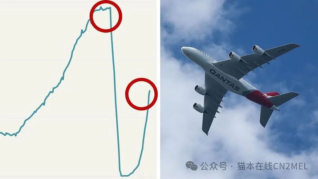 澳航取消悉尼-上海航班，如今还有多少中国游客来澳？（组图） - 1