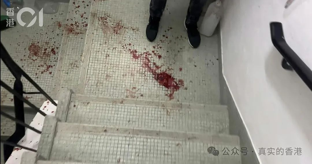 香港58岁躁夫挥刀斩妻女！53岁妻手残，12岁女受伤（组图） - 7