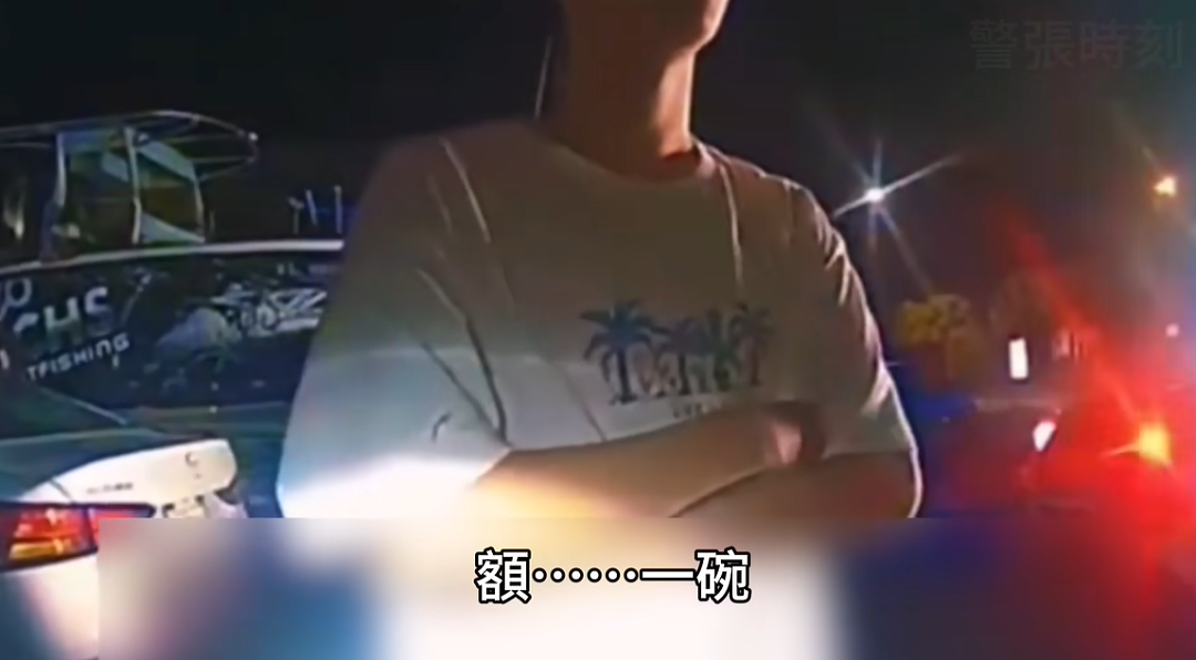 中国留学生酒驾超速，被警察拦下后一句英文听不懂！视频引热议（组图） - 13