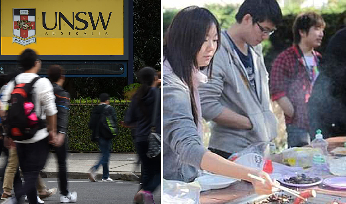 澳洲留学生人数恐暴跌95%，专家：收紧移民政策，留学生成弃子，每年或只发1万学签，留学澳洲要变难...（组图） - 3
