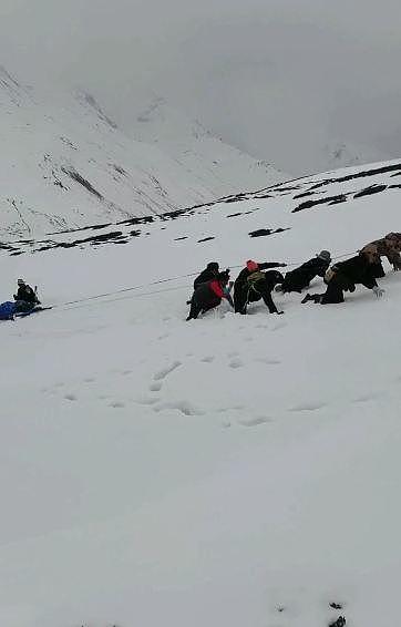 30岁驴友徒步贡嘎山遇难：海拔4500米雪山上，救援人员跪地前行转运遗体下山（组图） - 1