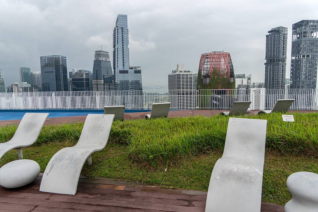 “全民居者有其屋”：新加坡如何建立公共住房系统（组图） - 5