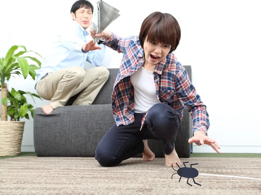 日本乡民为灭一只蟑螂，竟把房子点着了？！细节曝光后，网友笑喷了...（组图） - 5