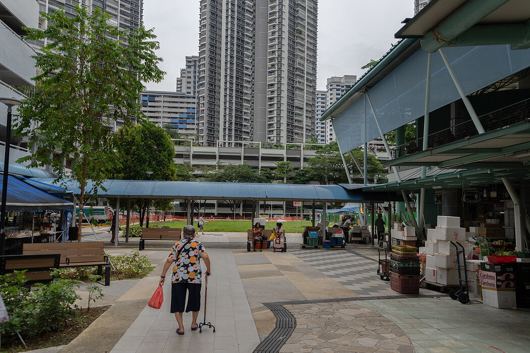 “全民居者有其屋”：新加坡如何建立公共住房系统（组图） - 7