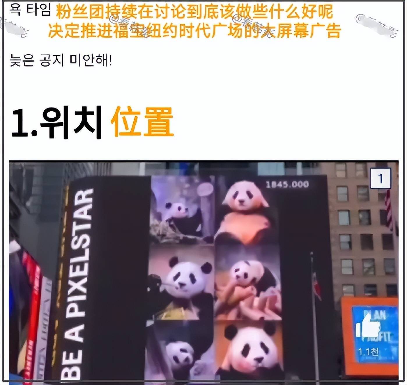打脸闹事韩星！熊猫福宝断毛风波升级，在韩国饲养期间问题更大（组图） - 6