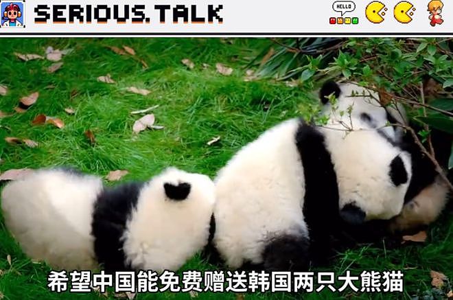 乞丐还是小偷？韩国市长请求中国赠送一对大熊猫，评论区全是骂声...（组图） - 4