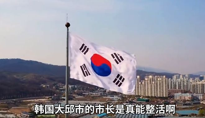 乞丐还是小偷？韩国市长请求中国赠送一对大熊猫，评论区全是骂声...（组图） - 6