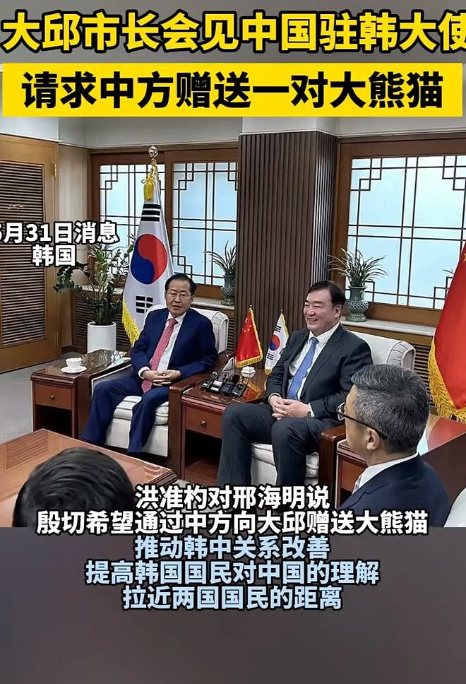 乞丐还是小偷？韩国市长请求中国赠送一对大熊猫，评论区全是骂声...（组图） - 3