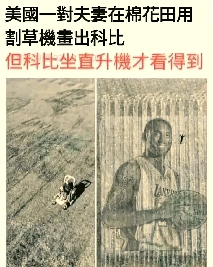 科比死后，又在梗里活了！杭州漫展上有coser模仿了科比遇难场景（组图） - 33