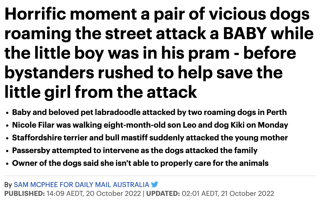 噩梦！澳洲4岁宝宝被狗咬，半边脸都毁啦！遛狗不牵绳的人，太缺德了...（组图） - 11