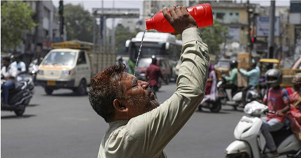 印度高温破50度热死2百人，40只猴子跳井找水喝全溺毙（组图） - 1
